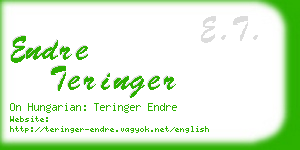 endre teringer business card